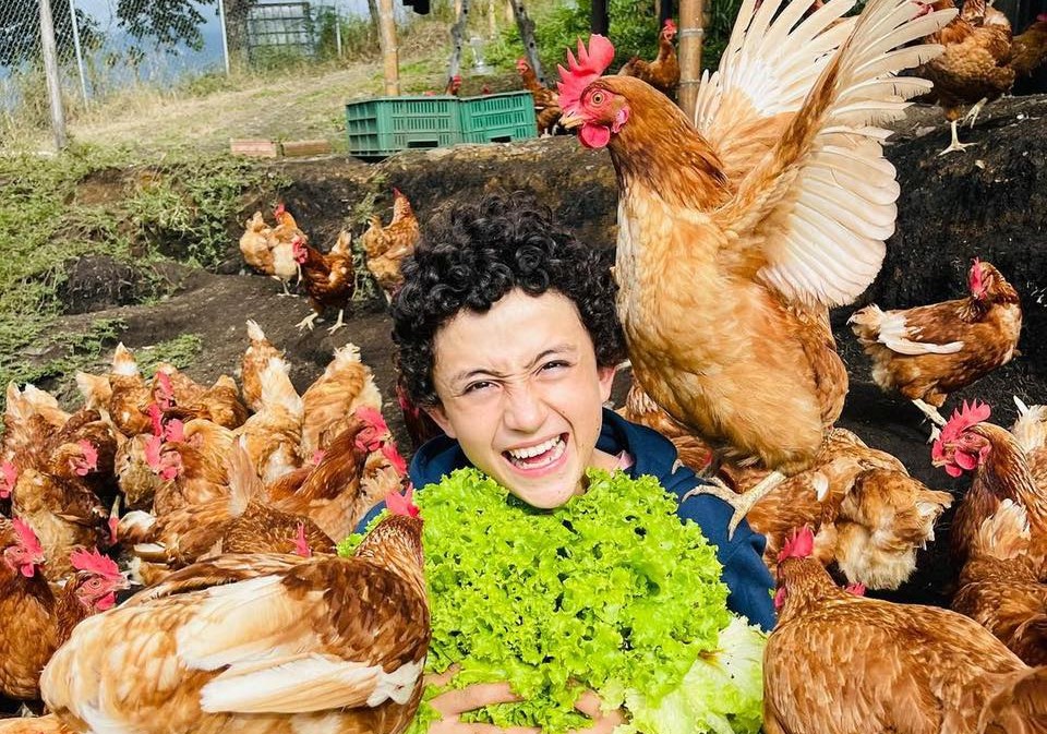 ‘La granja del borrego’ gana premio de Tik Tok Carlos Alberto Díaz